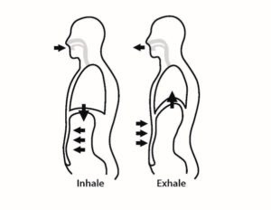 Tehnika abdominalnog disanja